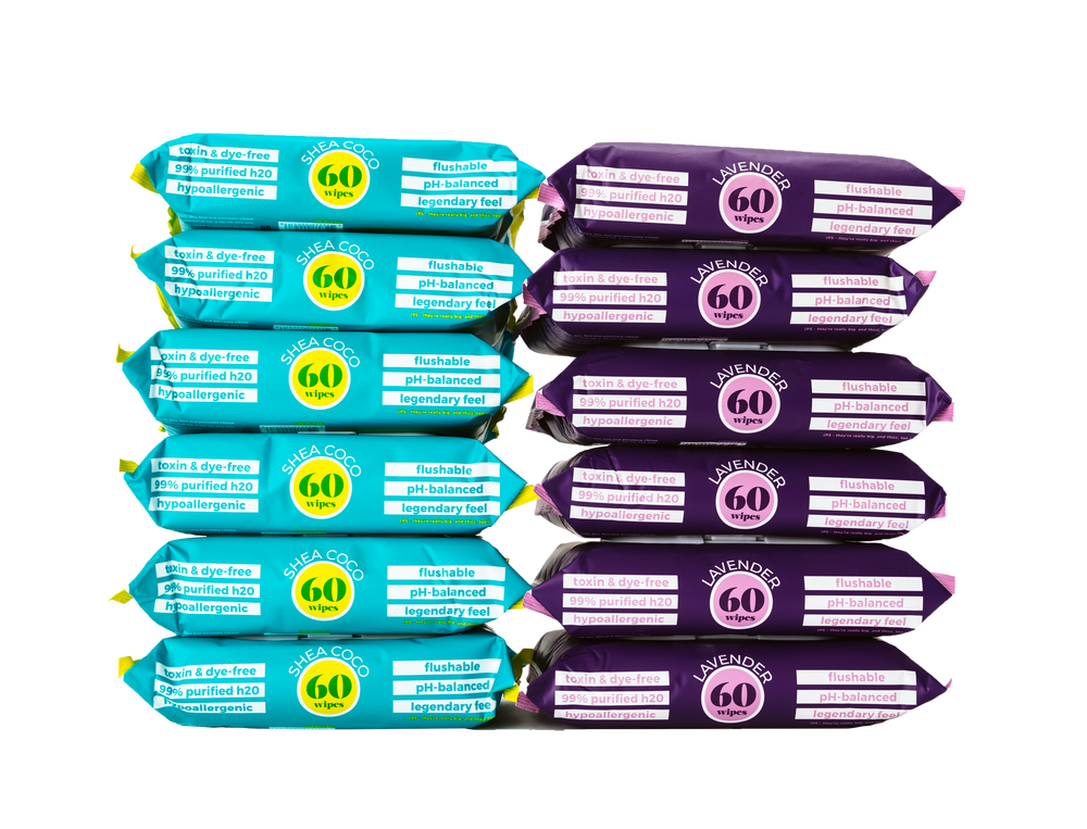 60ct Flushable Wipes - 12 Pack